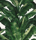 Diseño de hojas verdes con fondo blanco TT0301-5.30MT2